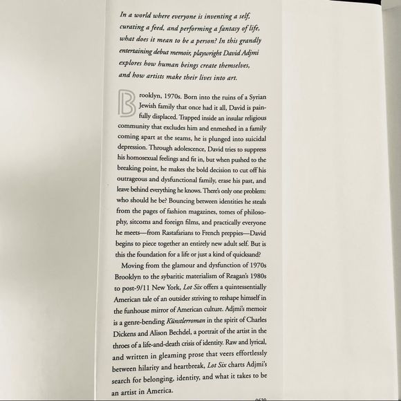 BOOK, Lot Six, A Memoir by David Adjmi, Non-Fiction, Hardcover with Jack… - Picture 2 of 15